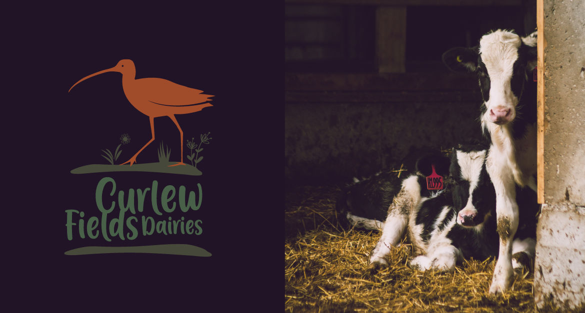Curlew Fields Dairies Logo 3